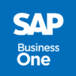 SAP Business One Manual
